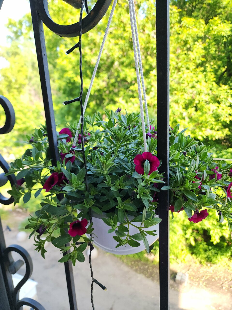 Гостевой дом Парадиз Казань-6