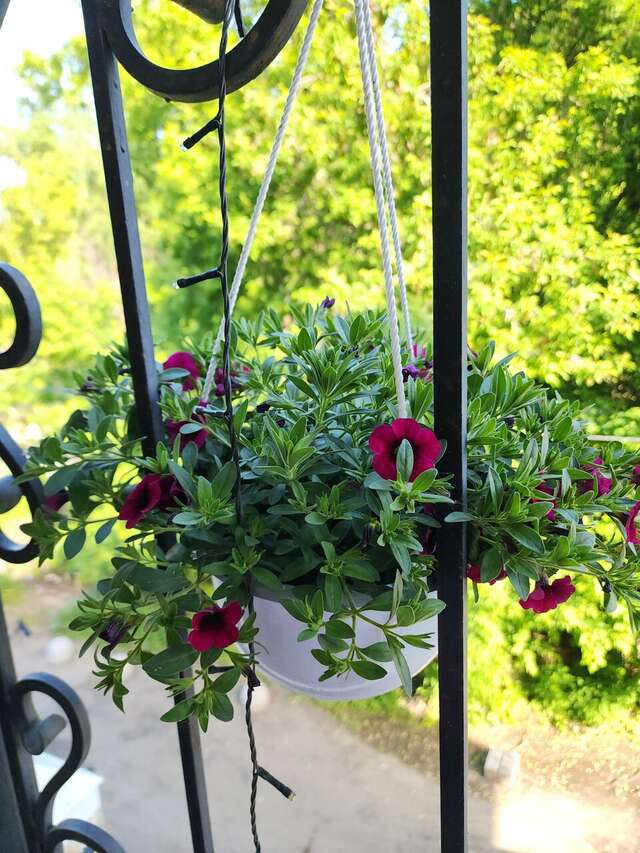 Гостевой дом Парадиз Казань-5